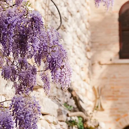 Relais Ducale Hotel Gubbio