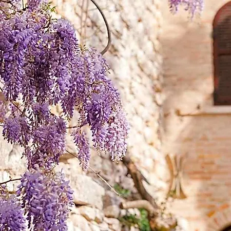 Relais Ducale Gubbio