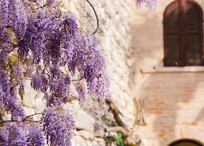 Relais Ducale Ξενοδοχείο Γκούμπιο